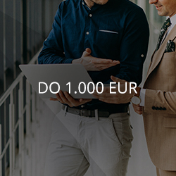 do 1.000 EUR